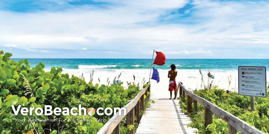 Man checking out beach conditions